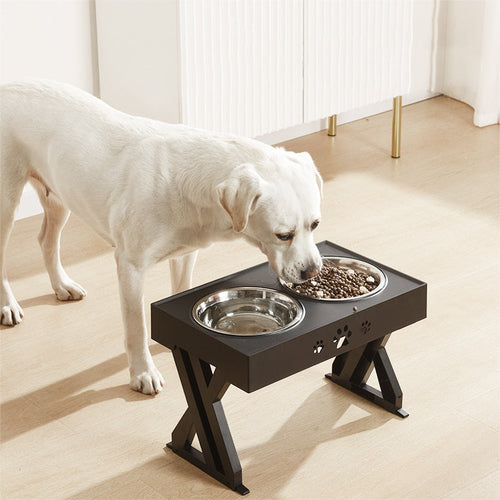 Foldable 3-Level Dog Feeder for Healthy Eating Posture